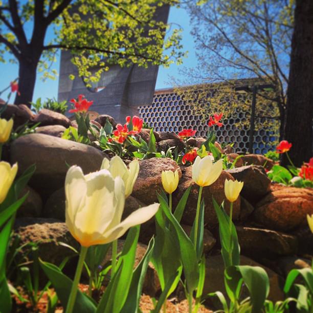 SaintJohnsAbbey's tweet photo. Let the earth bless the Lord,
praise and exalt him above all forever. Daniel 3:74
#earthday
@CSBSJU  @SJU_SOTheology http://t.co/ZiMN6VkYhE