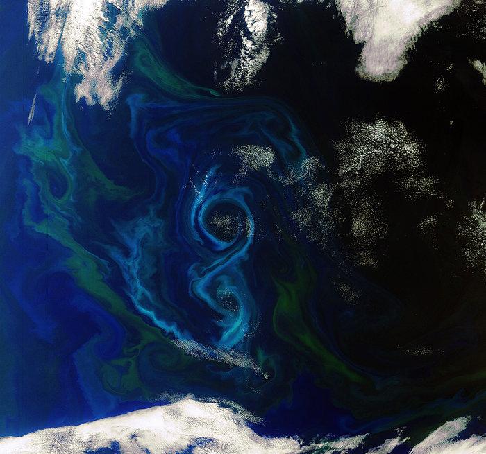 ESA_EO's tweet image. For @1World1Ocean’s #SeasEarthDay campaign: satellite image of a phytoplankton bloom in the South Atlantic #EarthDay