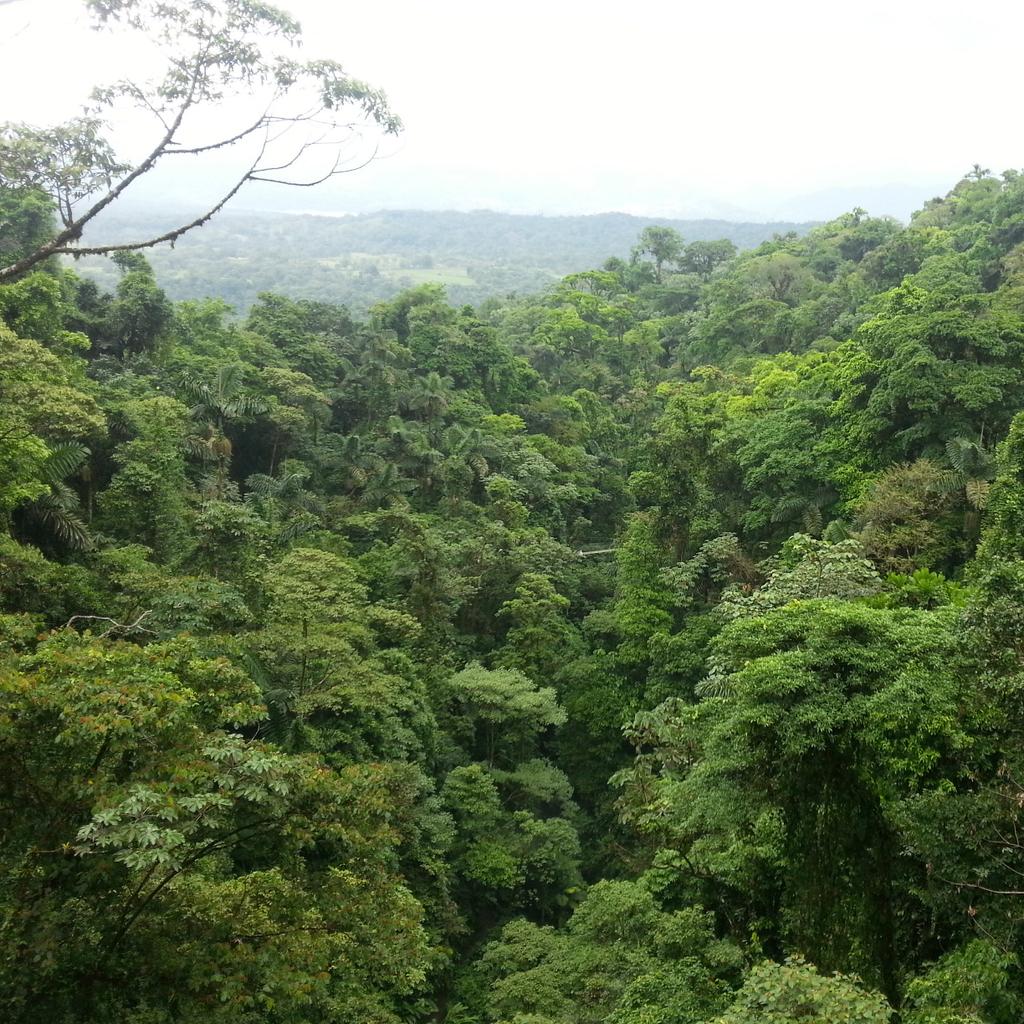 Oakley_Debora's tweet photo. Lo más hermoso ya lo tenemos, cuidémoslo. #EarthDay http://t.co/YoDoeHoyDU