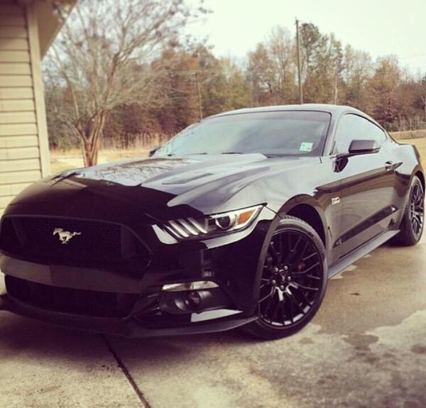 Blacked out Mustang 😈