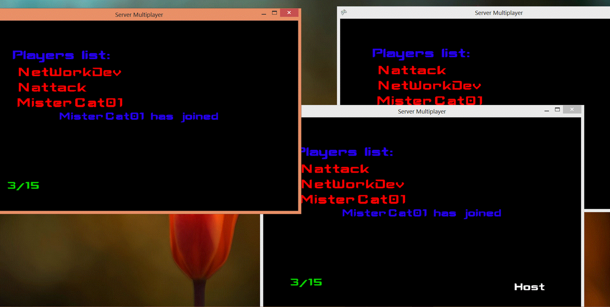 antoine311200's tweet photo. #gamedev #indiedev #networkgame #networkdev I work on the network for Unconventional Turtle and that runs good!!!!! http://t.co/EJ1aCSG2vl