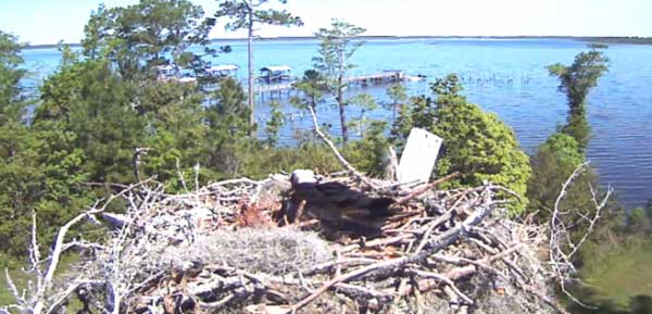 Cool Green Science tweet media