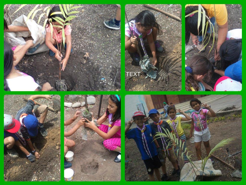 GSMarcosBrito's tweet photo. la manada pensando en un mejor Futuro #DiaDeLaTierra #Venezuela @DttoCrepuscular @GUARITOS_SCOUTS @scoutsvenezuela http://t.co/iM7RISW1TD