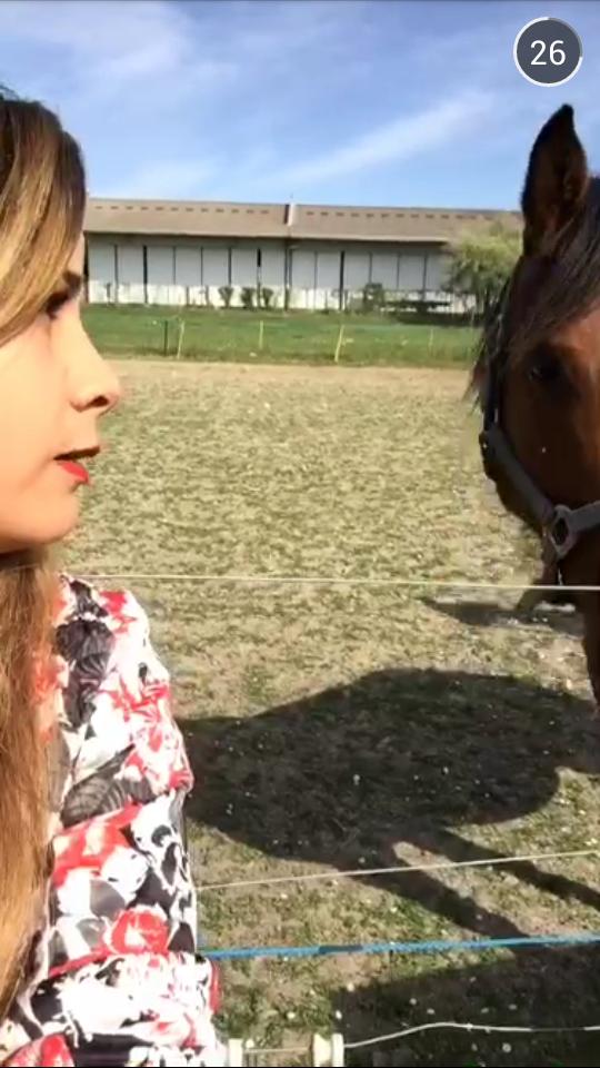 Permalien de l'image intégrée