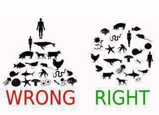 SimoneBisset's tweet photo. This is the way it should be #AnimalRights #peace #equality http://t.co/Mq2HGza0UM