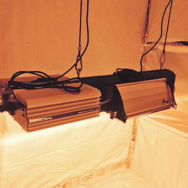 drgrassman's tweet image. Dimlux the most efficient way to grow indoors #EarthDay #EarthDayEveryDay #HydroponicWars #hydroponics