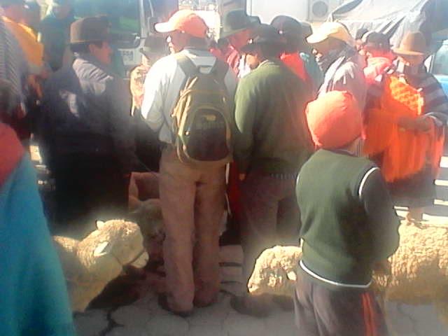 SACATOROY's tweet image. Un de paseo en feria de Guangaje. El domingo..