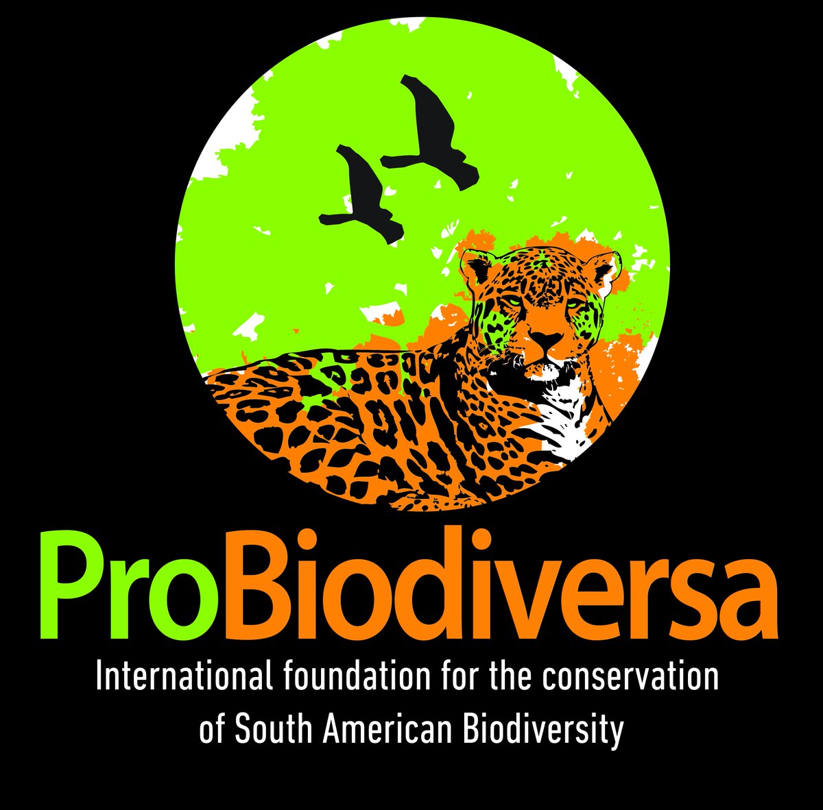 ProBiodiversa tweet media