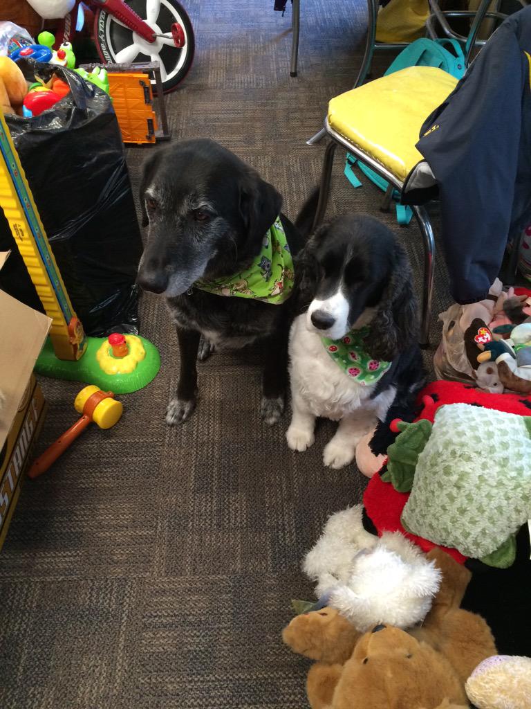 thetoycornermn's tweet photo. Susie, Lucky, Lilly, lots of toys to sort, a day in the life at The Toy Corner. http://t.co/WO2WBZFWHD