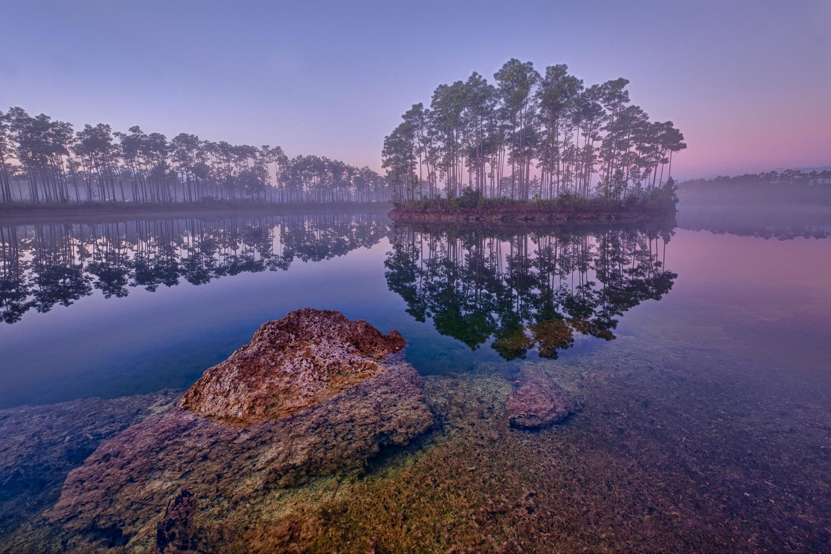 ObamaWhiteHouse's tweet photo. President Obama is in the @EvergladesNPS today to discuss the need to #ActOnClimate: http://t.co/DK9rdytjru #EarthDay http://t.co/oUrprDmt90