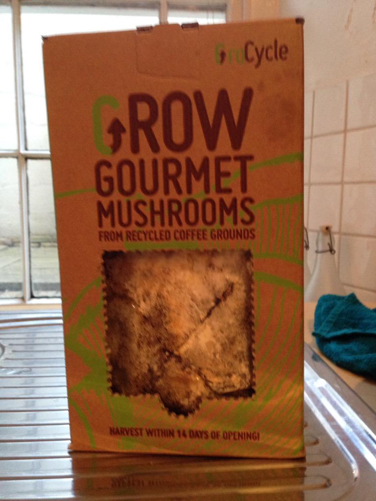 BristolPicnic's tweet photo. Growing my very own oyster mushrooms from recycled coffee grounds...day 1! #grocycle http://t.co/qsjkE1A0Uz