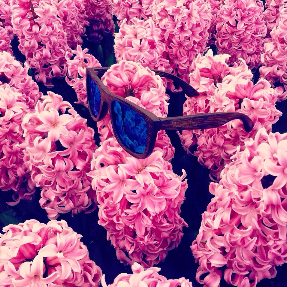 Woodiful tweet media