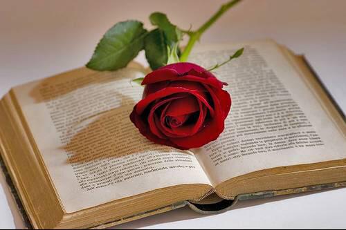 LifeLoversBcn's tweet photo. Por #SantJordi2015 una rosa, un libro y un desfile de #moda ! Invitación en el blog👉〰http://t.co/15ldJBSwZi〰 http://t.co/zlBjFxbhG5
