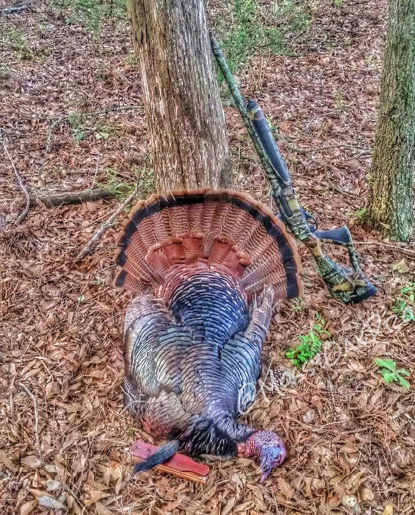 MossyOakPro tweet picture