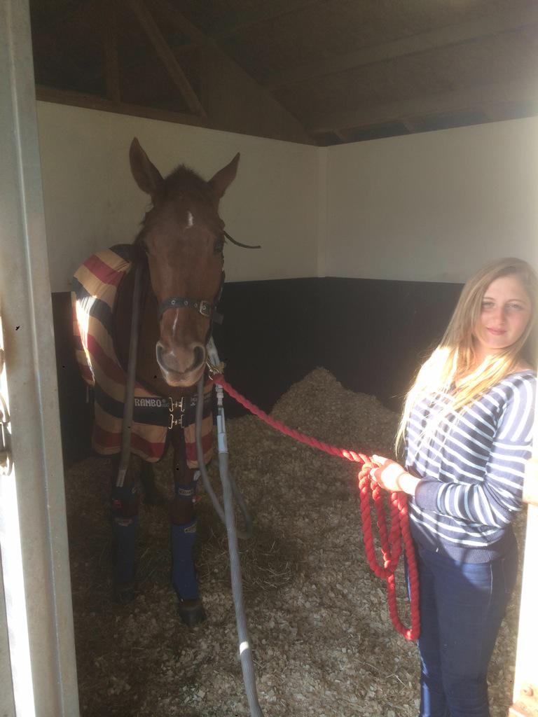 abaileyracing's tweet photo. Kia giving schottische a blast on the ice machine after her pampering ready for Southwell tomorrow. #happyhorse http://t.co/SZZDmbKDFt