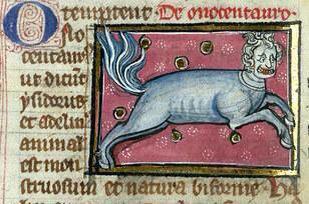 _MedievalReacts's tweet photo. Cuando abres un regalo, no te gusta y no sabes que cara poner. http://t.co/ZiIZCSjr7y