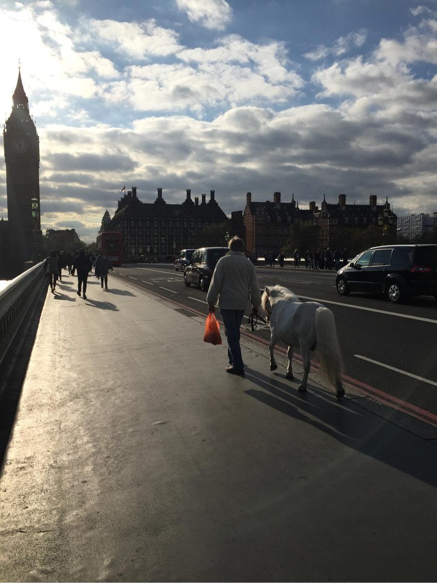 mattein's tweet image. That just happened... #London #evoconf