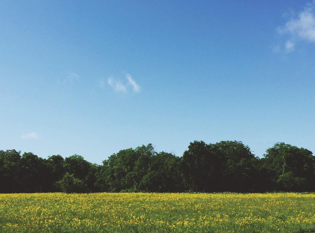 Hemlets's tweet image. Happy #EarthDay!!! #EarthDayEveryDay 🌻