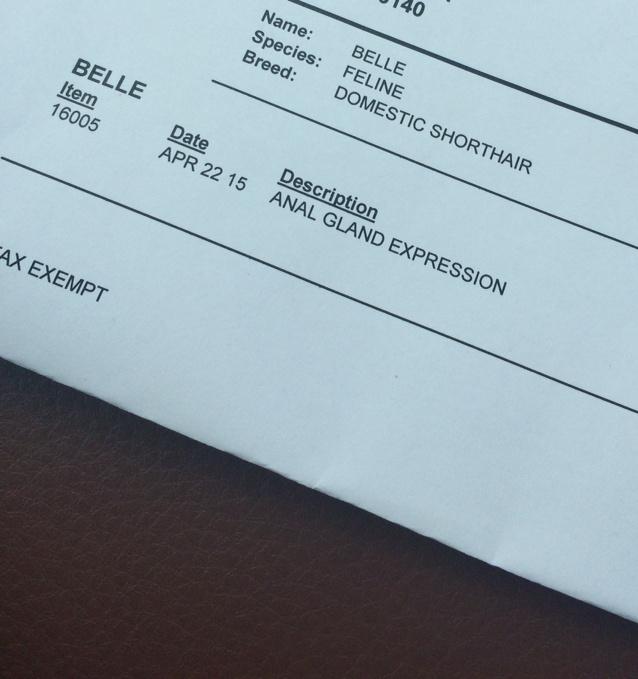 FullTimeTexter's tweet image. Wait. What?#thissaysanal #analgland #kittyprobs