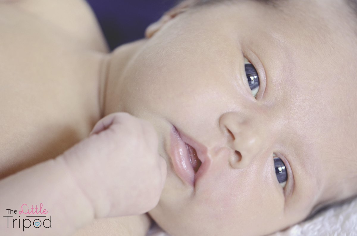 TheLittleTripod's tweet photo. This gorgeous blue-eyed girl...#littlethings #newbornbaby #babies #BlueEyes #photography #perfection http://t.co/sVr1cZdZUD