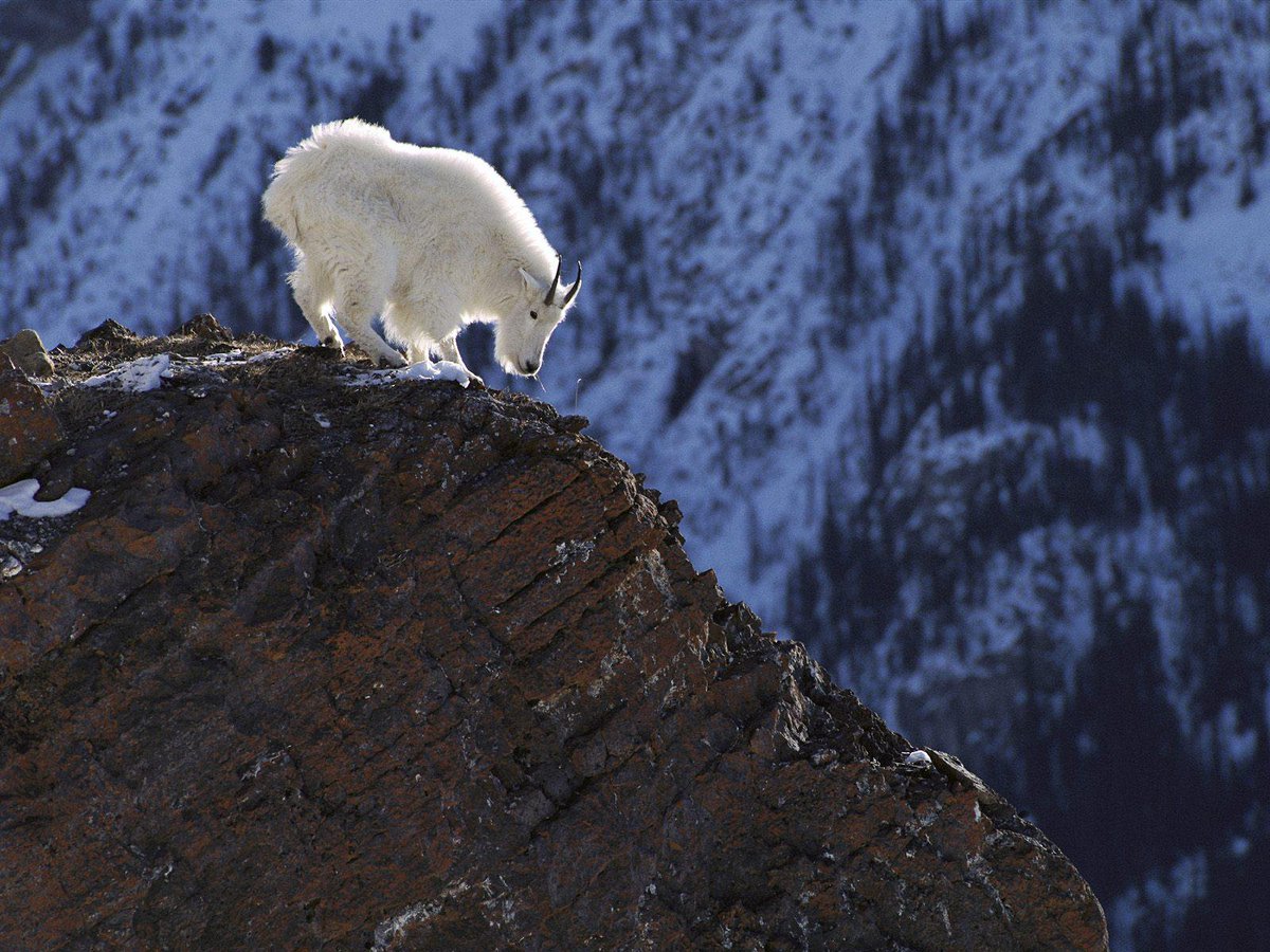 Happy Earth Day! Where did your run take you today? #EarthDay
