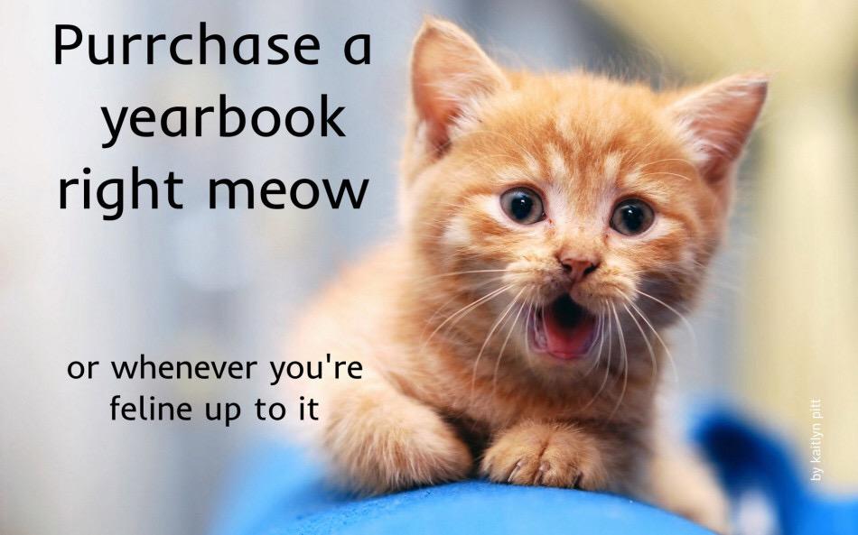 ONE WEEK LEFT TO BUY THE YEARBOOK!! 

yearbookordercenter.com/index.cfm/gene…