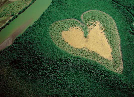 wellnesstous's tweet photo. Belle Journée Mondiale de la Terre! C'est notre devoir à tous de la préserver et la protéger! http://t.co/Y1pBihwoEy