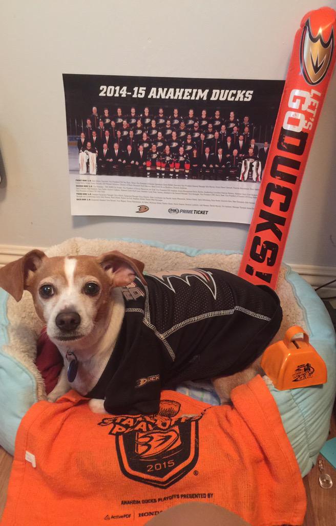 linsolson's tweet photo. @AnaheimDucks Waiting to see a clean sweep tonight C U @HondaCenter in Rd2!  #LetsGoDucks #PaintItOrange #StanleyCup http://t.co/gnY3UANiTo