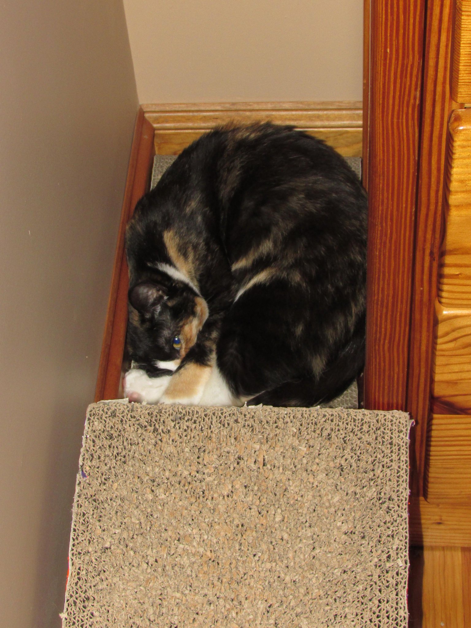 Embedded image permalink