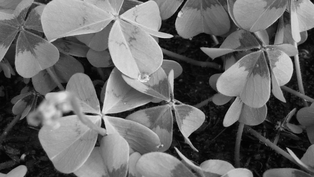 Der Frühling ist voll in Fahrt...