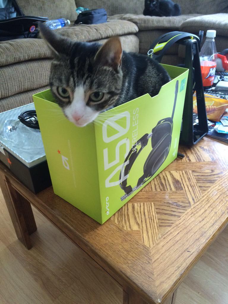 Embedded image permalink