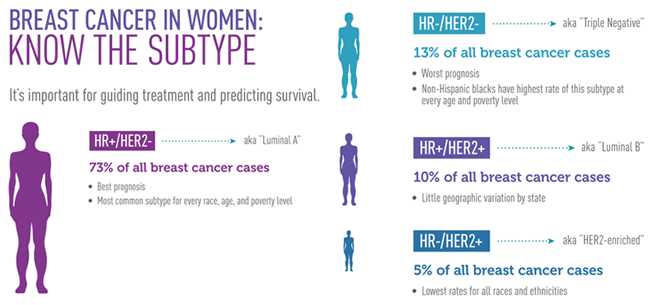 BCRFcure's tweet photo. For the first time @theNCI's Annual Report included analyses by breast cancer subtype. http://t.co/41BovE6PeL http://t.co/bTnRgxGOMm