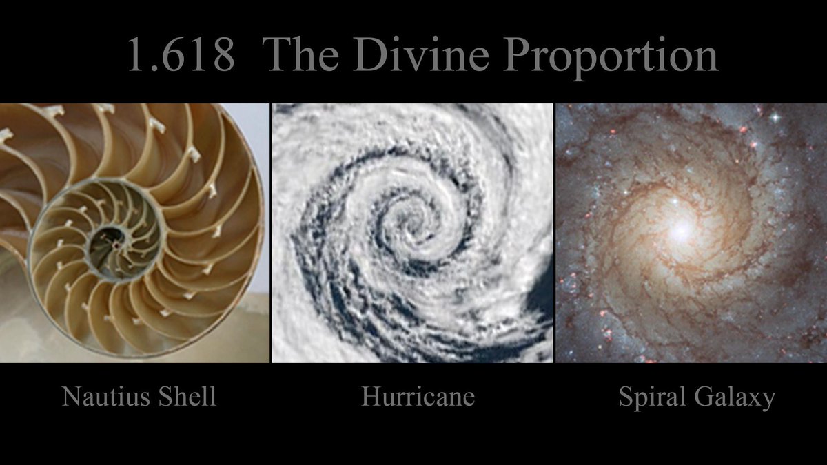 SacredGeoInt's tweet photo. @red_pill_junkie A few infographics related to The Golden Section. http://t.co/R0UdbNILzC