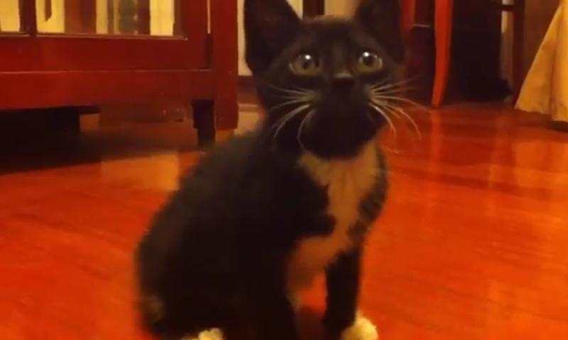 09vmf_08's tweet photo. Aww raspy #Raspberrylovers❤ http://t.co/eS2YlN05SK