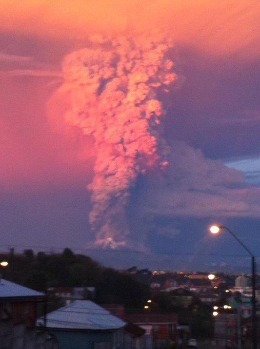 Voir l'image sur Twitter