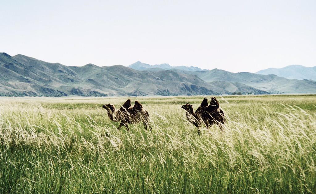 AmazingMongolia's tweet photo. #Mongolia is one of the world’s last unspoilt wonder. Prepare to be amazed. ImageCourtesy G.E.C #travel #EarthDay2015 http://t.co/B3DIG8prOm
