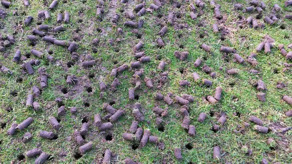 kevodale76's tweet photo. Busy few days with the tee's getting some attention. #outwiththeold #realgreenkeeping http://t.co/OCeSJsmitr