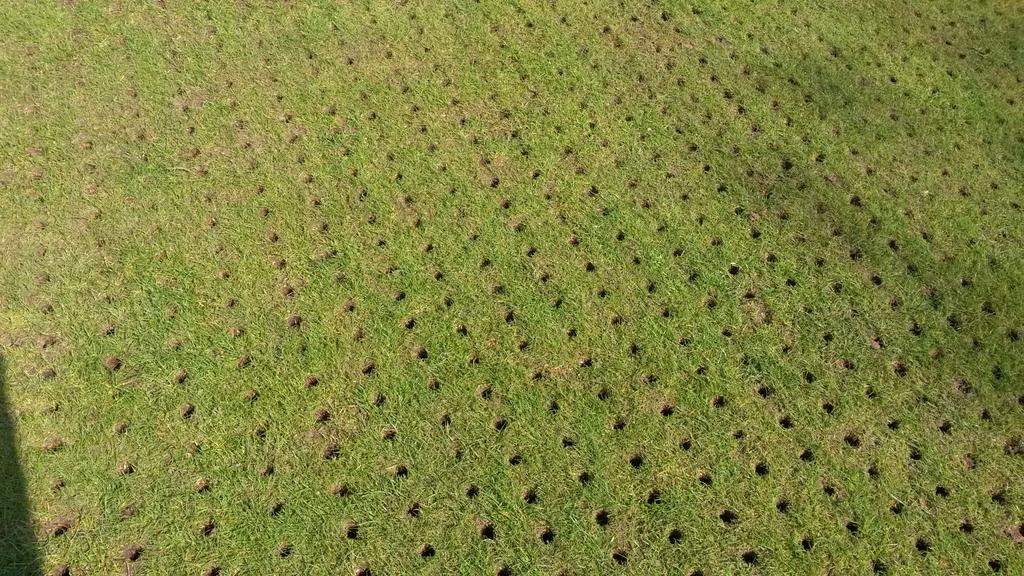 kevodale76's tweet photo. Busy few days with the tee's getting some attention. #outwiththeold #realgreenkeeping http://t.co/OCeSJsmitr