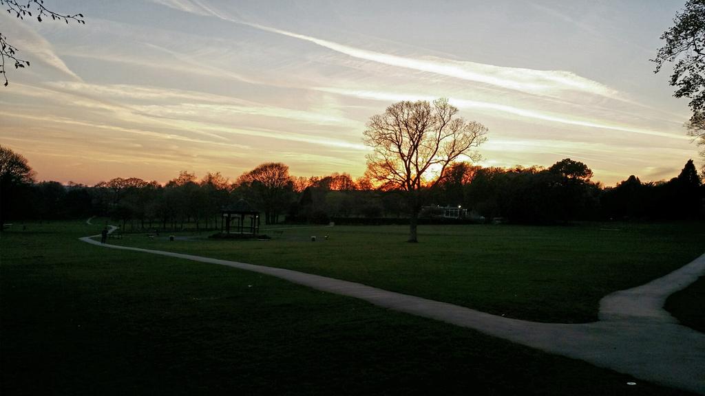 Permalink til innebygd bilde