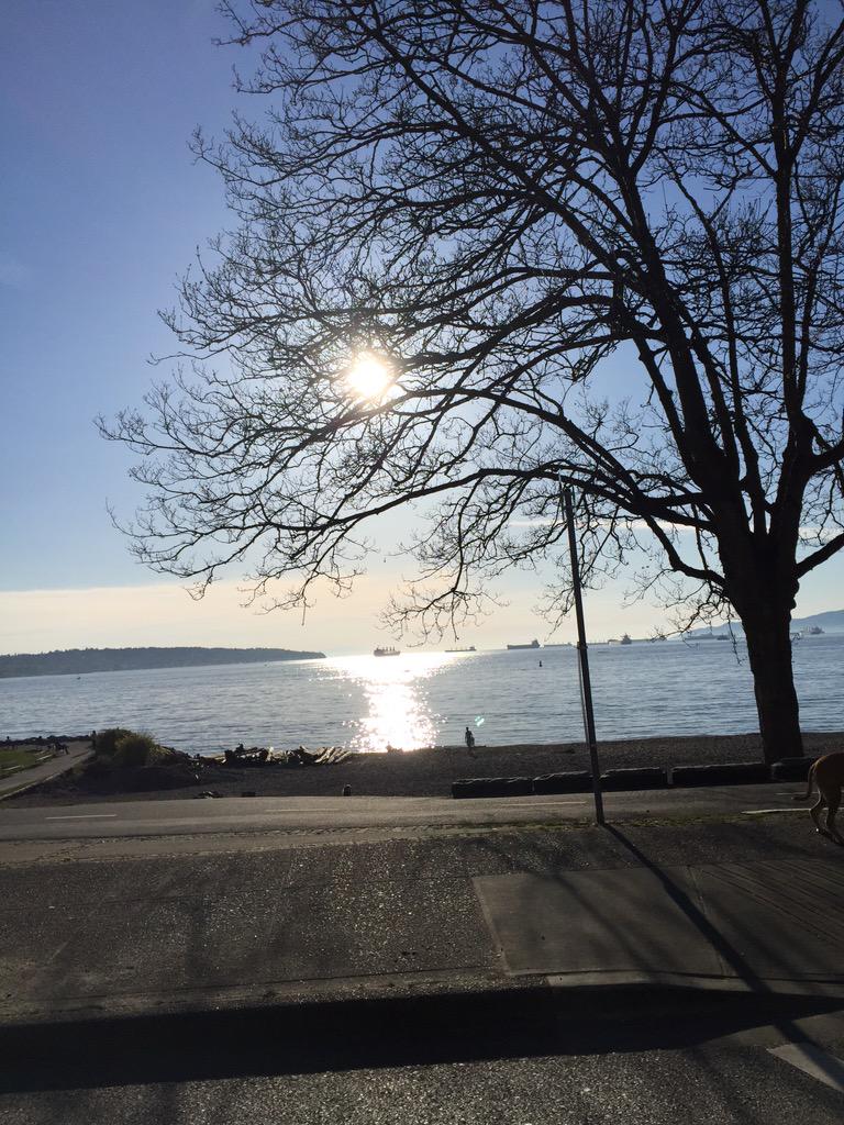 italiamermaid's tweet photo. All apart of an #artisticprocess #vacouver #beautifulday #oceanair http://t.co/jVDjA6aCIZ
