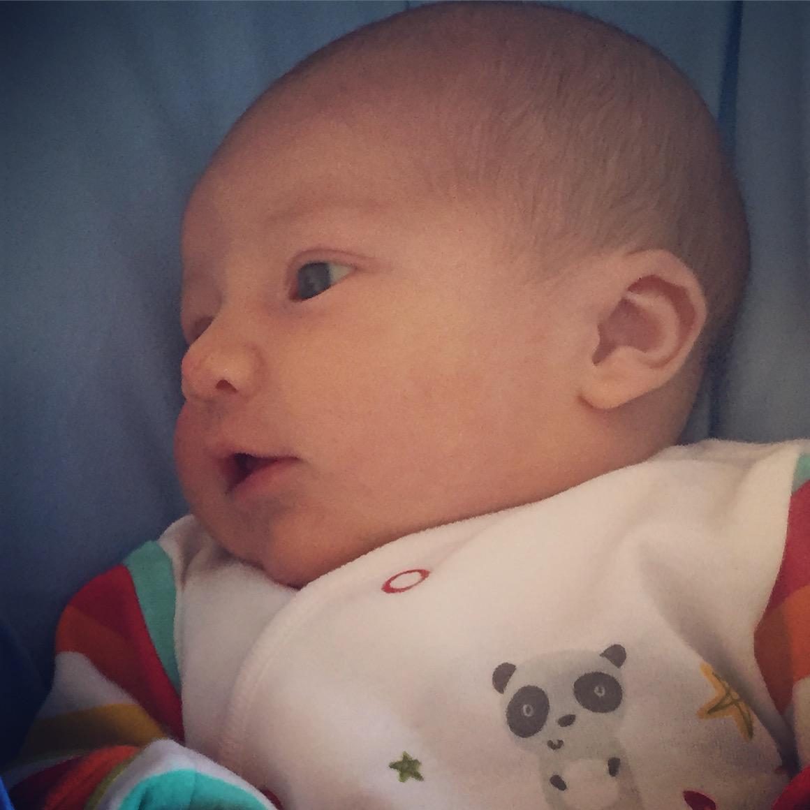 mickyb86's tweet photo. Could look at our little man all day long #dude #myson #minibrown http://t.co/oYfCYL74MM
