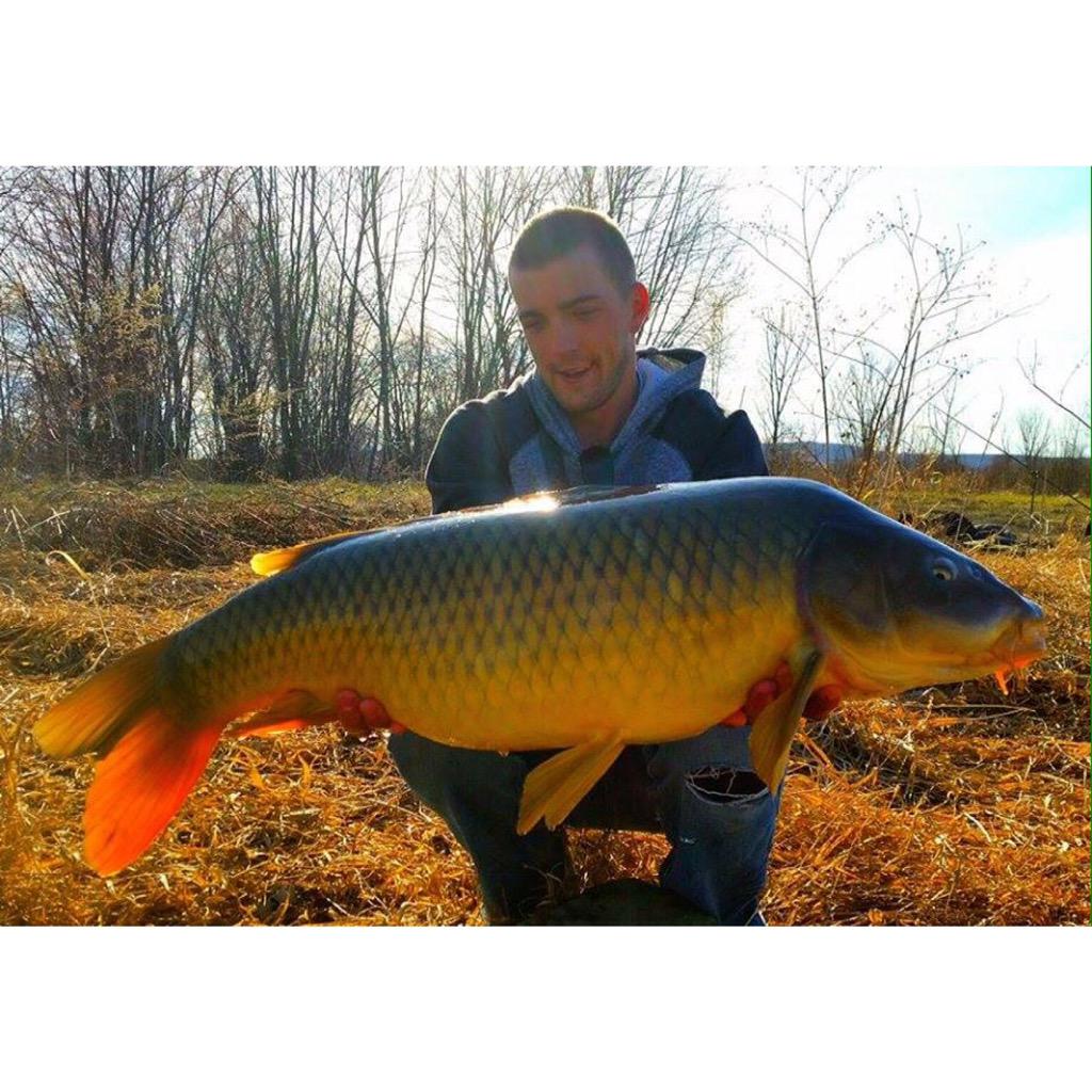 Andrew Angler Andrew Walker-Angler (@walker_andrew) / Posts / X