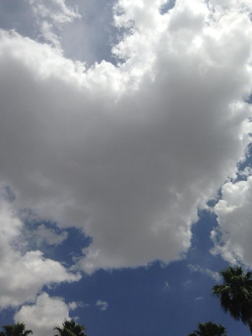 Looks like a heart http://t.co/fsXBFBdW1N