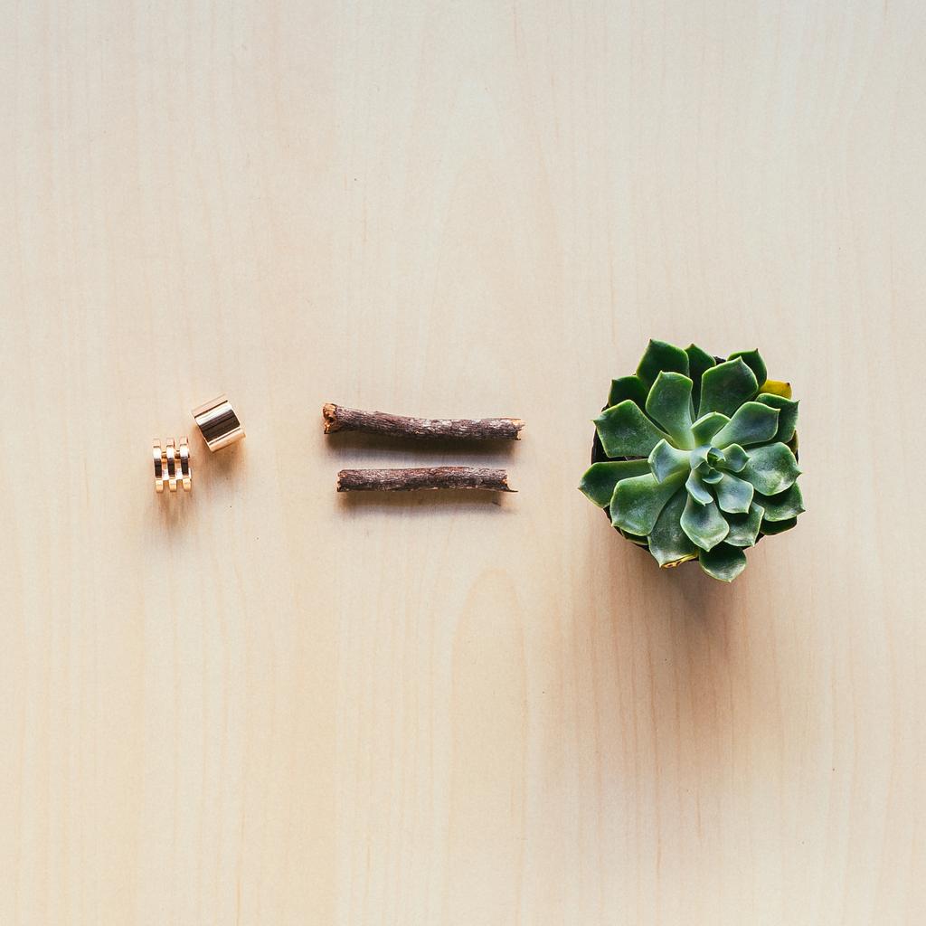 lyoungbrand's tweet photo. Happy #EarthDay! Today only, get 20% OFF your entire order with code EARTHDAY. Let's plant more trees today. http://t.co/LCNxVcRWbE