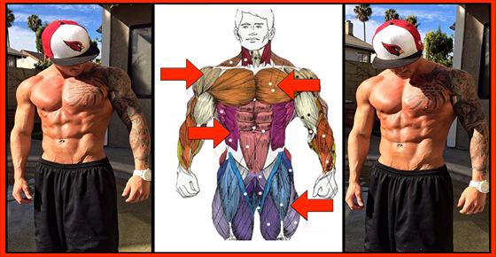 NEW Exposed Muscle Trick Has Guys Burning Fat WHILE Building Muscle!

Try It Here: musclepills.co/2