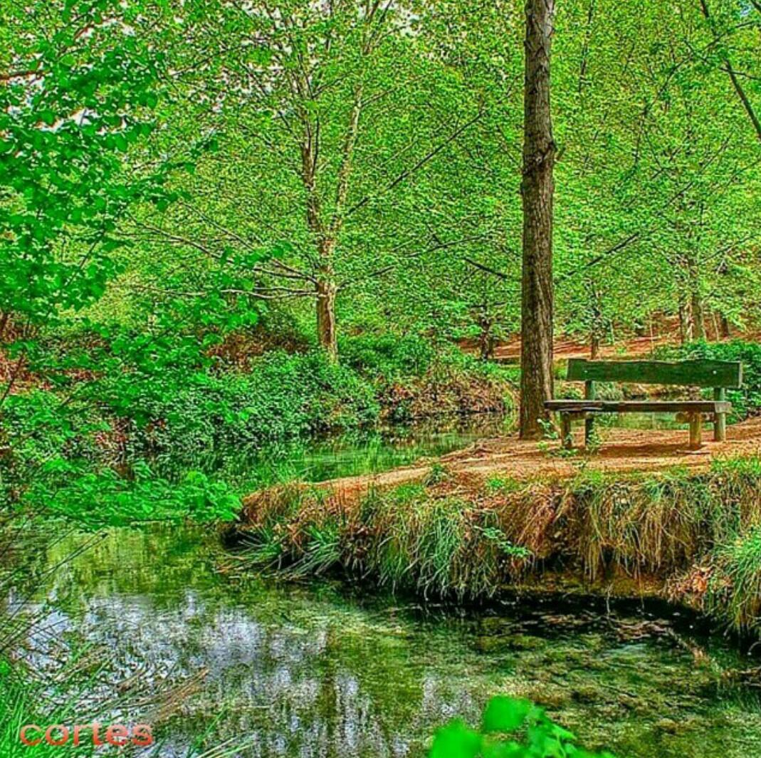 MeEncantaMurcia's tweet photo. ¡Qué bien le sienta la primavera a las Fuentes del Marqués! #caravaca http://t.co/nCmKXRquQN