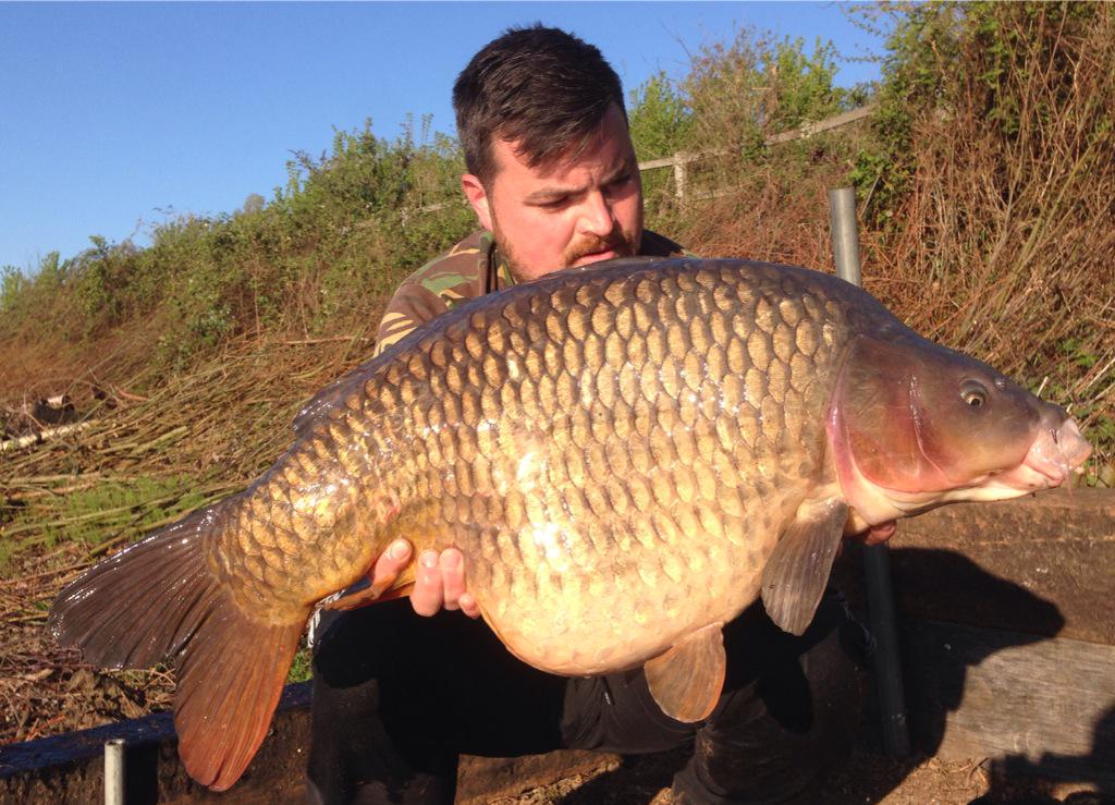 welsy90's tweet photo. Some other shots of the fish I had this morning on an overnighter in between work 33:04 common 36:12 mirror http://t.co/Y1IgJA7tnE