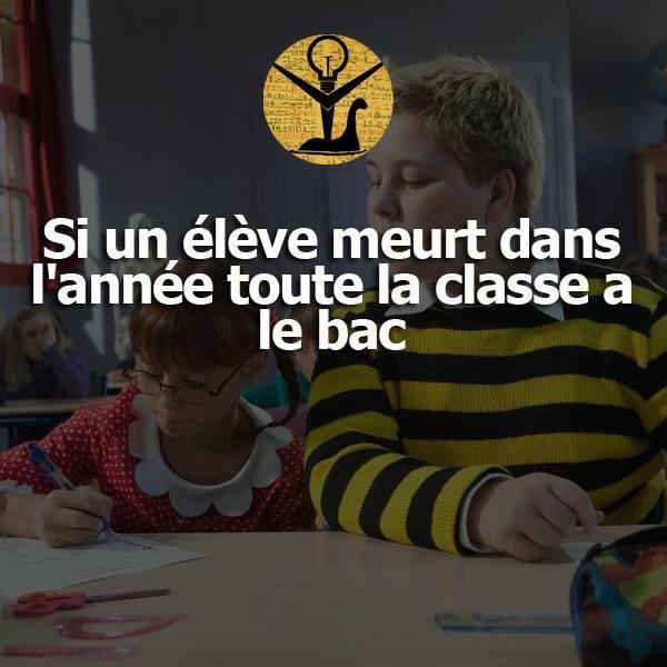 ManonCharre1 tweet picture