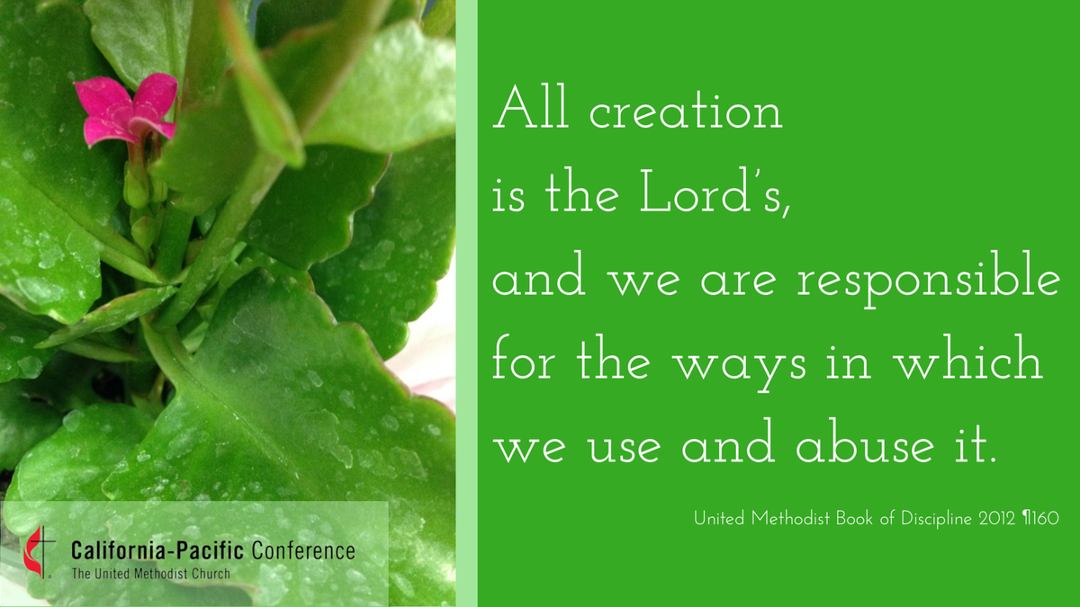 CalPacUMC's tweet photo. #EarthDay #UMC #SocialPrinciples #BookofDiscipline http://t.co/8q6EjEwVUJ