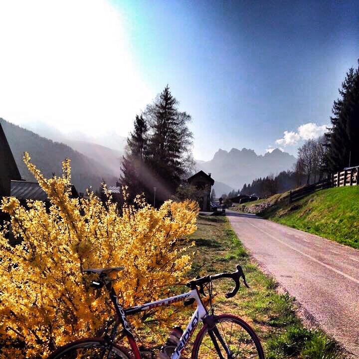 ConsorzioCadore's tweet photo. Meravigliosa giornata sulla #ciclabile #lalungaviadelledolomiti 🚴🏻 a #vododicadore ☀️ #Dolomiti #visitveneto http://t.co/aham3Bzznw